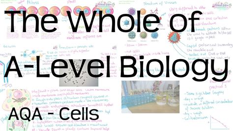 The Whole Of Aqa A Level Biology Topic Cells Youtube