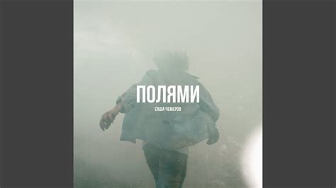 Полями - YouTube