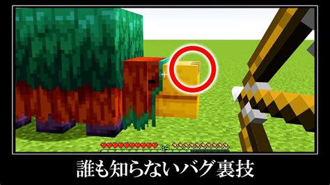 マイクラのアプデに隠されたバグ裏技＆小ネタ10選 Youtube