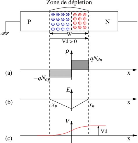 Jonction P N L Quilibre Thermodynamique A Charge D Espace