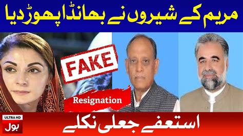 Maryam Nawaz Lied To Nation No Resignations Recieved From Pmln