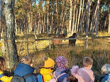 Entdeckertag Der Bunten Schule Im Naturpark Teutoburger Wald VDN