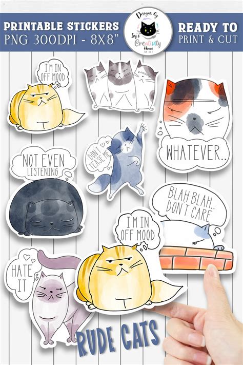 Funny Grumpy Cat Sticker Pack | Sarcastic Stickers