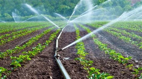 ¿cÓmo Mejorar El Uso Eficiente Del Agua En La Agricultura Revista Economía