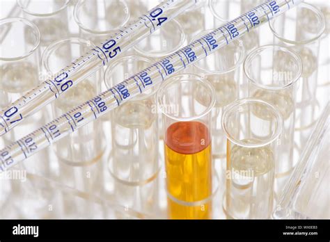 Laboratory experiment with chemistry and biology Stock Photo - Alamy