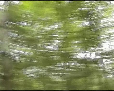 Des bombasses allemandes amateur sucent une bite à lextérieur xHamster