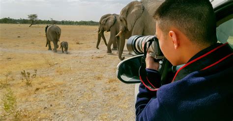 AFRICA: More than 70 photographers raise funds for wildlife | Afrik 21