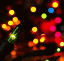 Christmas Lights Transparent GIFs | Tenor