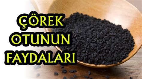 Her Derde Deva Çörek Otu nun İnanılmaz Faydaları Part 1 YouTube