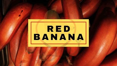 Red Bananas- Origin, Characteristics, Nutrition, Amazing Benefits & Uses - Banana Dose