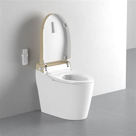 Bto Hot Sale Modern Ceramic Floor Mounted S Trap One Piece Wc Smart