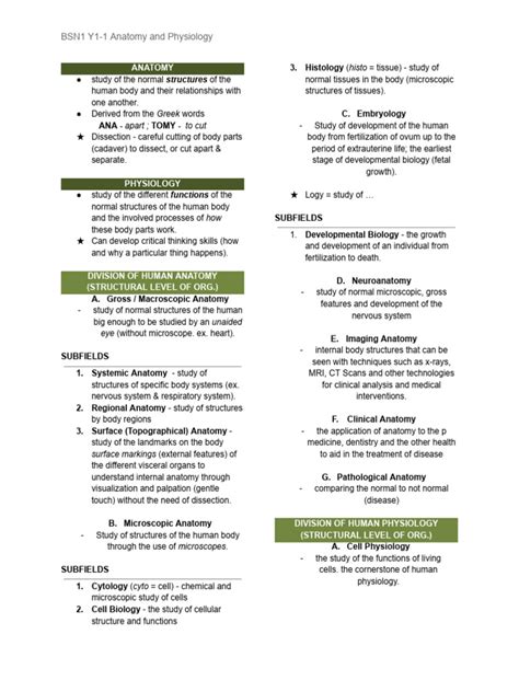 Intro To Anaphy And Body Directions Pdf Anatomical Terms Of Location