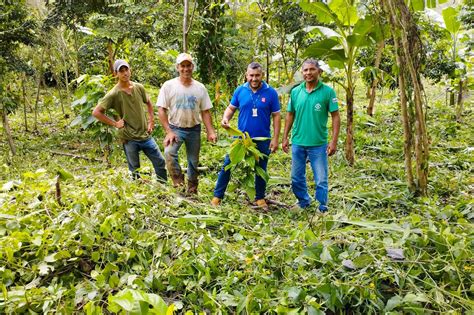 Emater Ajuda Na Recupera O De Hectares De Reas Degradadas No