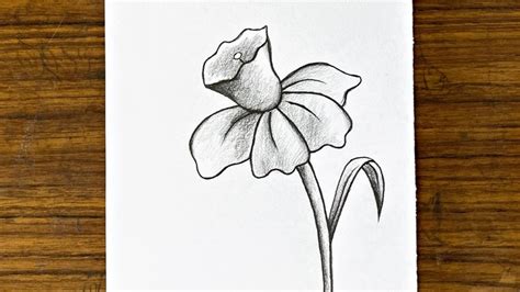 How To Draw A Flower Step By Step Easy Pencil Drawings For Beginners