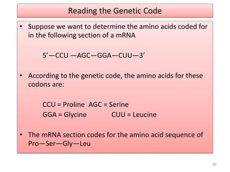 PPT - Nucleic Acids PowerPoint Presentation, free download - ID:2027298 