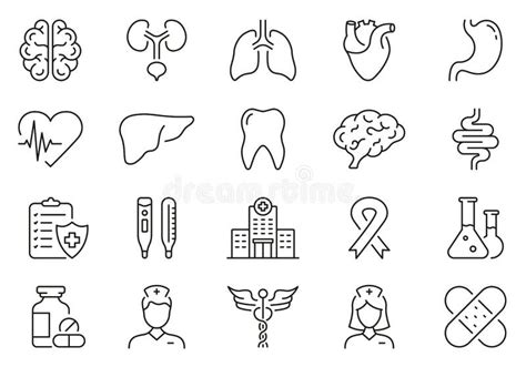 Human Internal Organs Line Icon Set Medicals Linear Pictogram