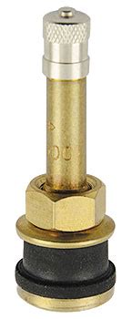 TR 500 Brass Truck Valve REMA TIP TOP