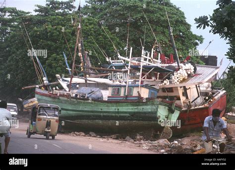 Images From The Aftermath Of The Boxing Day Tsunami In Sri Lanka On The