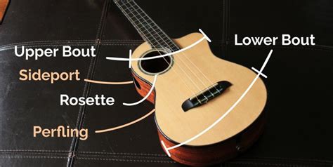 Parts Of An Ukulele A Detailed Guide Live Ukulele