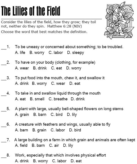 Lilies Of The Field Multiple Choice | Sermons4Kids