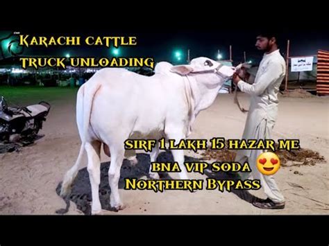 Sirf 1 Lakh 15 Hazar Me Bna Vip Soda Northern Bypass Mandi Bakra