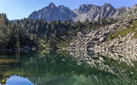 Rocks Mountains Stones Trees Branches Green Leaves Lake Slope Landscape