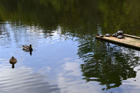 Links Naked Capitalism