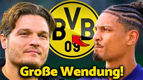 Bvb Eilmeldung Alle Waren Berrascht Haller Hat Heute Best Tigt