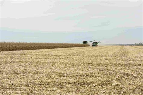 Kossuth County Iowa Land Prices All Farmland Auction Results