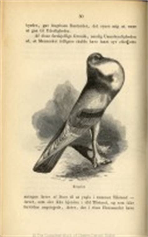 Darwin Online: overview of illustrations- Origin of species