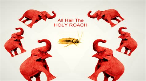 Anal Fuck Fest YouTube