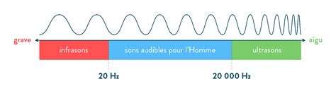 Les sons et loreille Émission et perception des sons