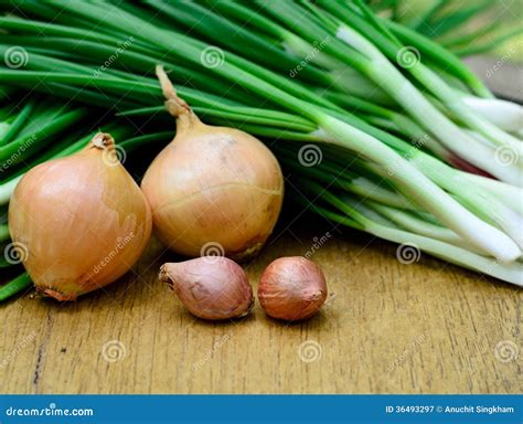 Fresh Green Shallot and Onion for Cooking Stock Image - Image of ...