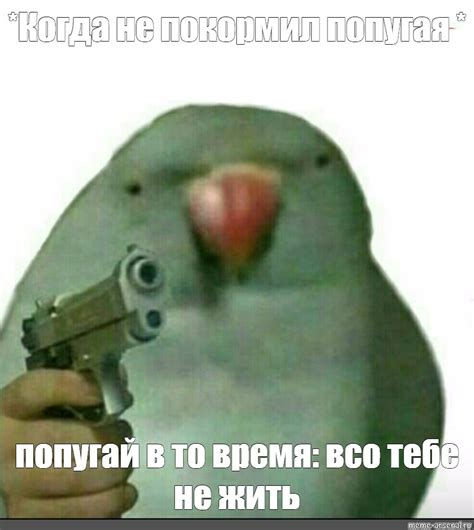 Meme: "*Когда не покормил попугая * попугай в то время: всо тебе не ...
