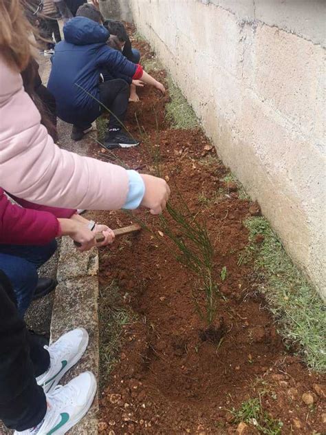 A Montalbano Messe A Dimora Piante Nellambito Del Progetto Un Albero