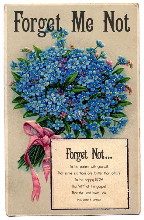 Scatter Sunshine Printables Forget Me Not