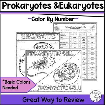 Prokaryotes Eukaryotes Types Of Cells Color By Number Review Worksheet