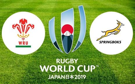 Wales vs South Africa - Semi-final Rugby World Cup 2019 - BetMoose