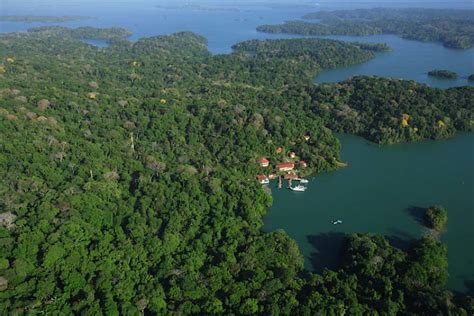 Descubrimos Barro Colorado La Colina Convertida En Isla Tras La