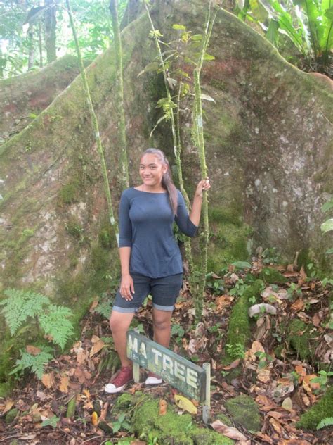 hiking and walking in SamoaIfieleele Plantation