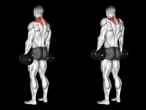 dumbbell shrug guide muscles worked tips athlemove
