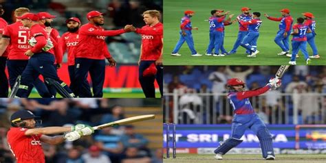 Eng Vs Afg Dream11 Prediction T20 World Cup 2022 England Vs Afghanistan