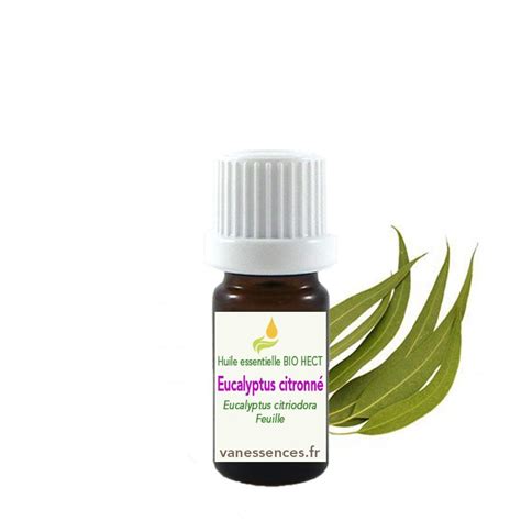 Huile essentielle Eucalyptus citronné utilisation et bienfaits