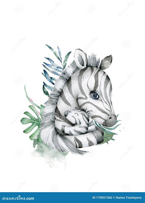 cute animal zebra 1