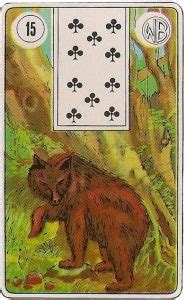 O Urso Baralho Cigano - O Urso - Saiba Mais Sobre Esta Carta do Baralho Cigano | iQuilibrio