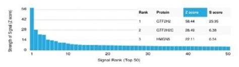 Gtf H Antibody Pcrp Gtf H B Azide And Bsa Free Novus