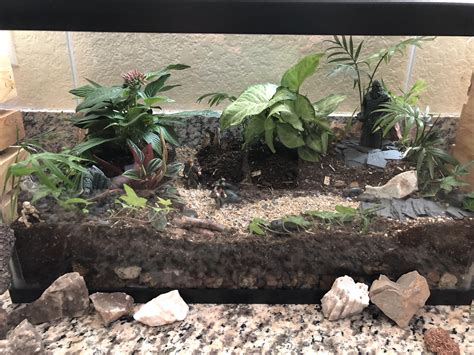 farthest home runs ever