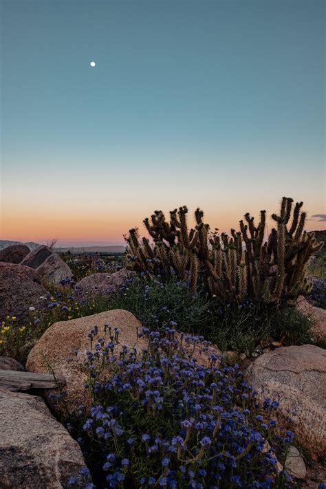 173 best Palm Desert images on Pholder | Golf, Pics and Old School Cool