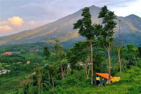 Kepeleset Sampai Dari Jakarta 3 Spot Camping Di Bogor Ini Suguhkan