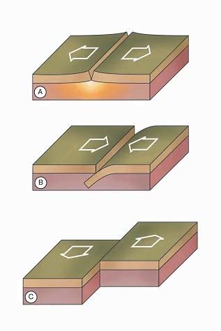 Science Transform Divergent Convergent Boundaries Diagram Quizlet